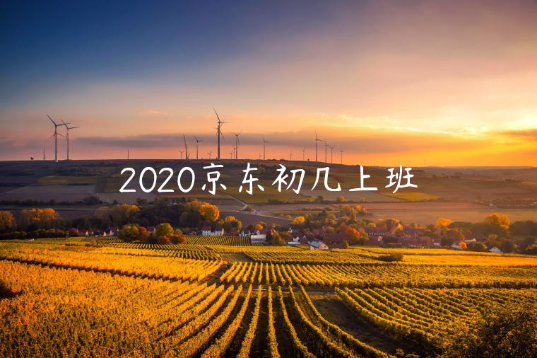 2020京東初幾上班